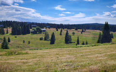 Šumava na kole - cykloturistika Národním parkem Šumava