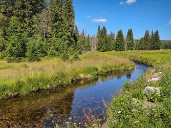 Šumava na kole - cykloturistika Národním parkem Šumava