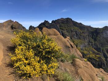 Madeira