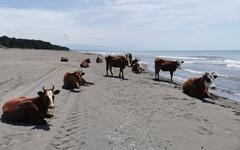 Nenáročná turistika v Gruzii