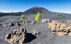 Tenerife