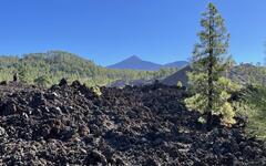 Tenerife