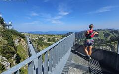 slecna-na-vyhlidce-s-mostem
