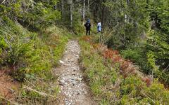 img-20250712-wa0044