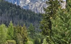 img-20250712-wa0047
