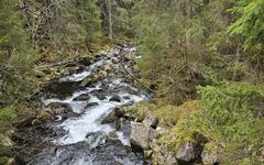 img-20250712-wa0049