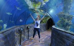 aquarium-malta