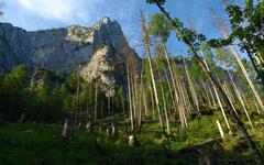 Hochtor (Marek Šanca)