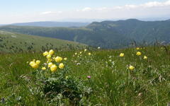 Velká Fatra (Vendy Vychodilová)