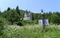 Velká Fatra (Vendy Vychodilová)