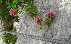 Dachstein - Seewand klettersteig (Pavel Mrhálek)