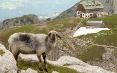 Dachstein Eselstein - Jubiläums klettersteig (Petr Šiška)