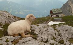 Dachstein Eselstein - Jubiläums klettersteig (Petr Šiška)