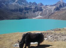 Gokyo Ri Nepál