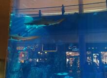 Dubaj akvárium