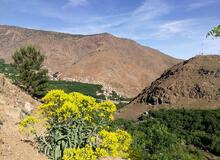 Jebel Toubkal výstup