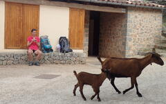 Turistika na Mallorce s FRČÍME