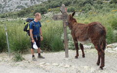 Turistika na Mallorce s FRČÍME