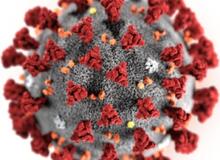 koronavirus_maly