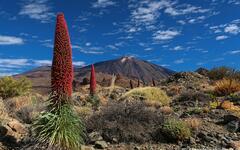 Turistika Tenerife