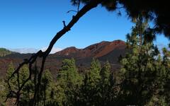 Turistika Tenerife