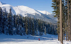 bansko-sjezdovka-v-lese