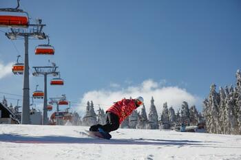 zieleniec-snowboard