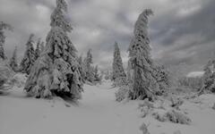 Babia Gora. Foto Juraj Gavenda